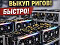 Скупка видеокарт и ригов| в любом количестве, Быстро, деньги сразу