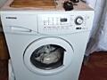 Стиральная машина samsung 5.2 кг Цена 1600.