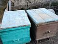 Продам улья