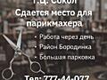Место парикмахера