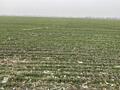 В продаже большой участок земли - 10,6 га, расположенный на ...