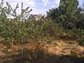 Продам 10 соток , Черноморка/Червоный хутор