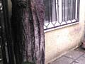 Дом на 4,5 сотках земли, Фонтанская дорога /Ванный переулок