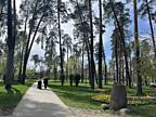Продаж 3-кімнатної квартири під ремонт у Києві, Дарницький район, ...