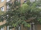 1 комнатная квартира на улице Бреуса.
