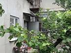 Будинок із власним подвір’ям на Таїрова — 2,5 сотки землі!