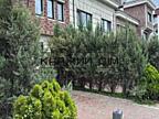 Продаж 1 кімнатної квартири ЖК Liverpool House. Квартира розташована .