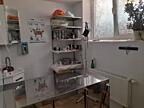 Помещение под бизнес 61 м² в ЖК Реал Парк, действующий объект