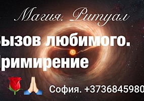 Предсказательница София.