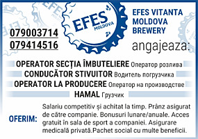 Efes Vitanta Moldova Brewery angajeaza: Operator secția îmbuteliere