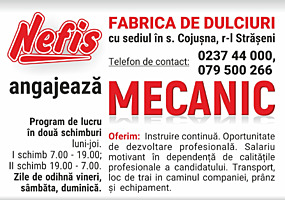 Fabrica de dulciuri &quot;NEFIS&quot; SRL angajeaza Mecanic