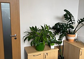 Уютное помещение на пересечении Пушкина и Александру чел Бун