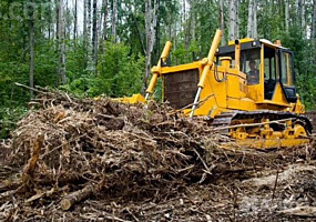 Предоставляем услуги: Чистка территорий