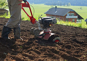 Предоставляем услуги: Чистка территорий